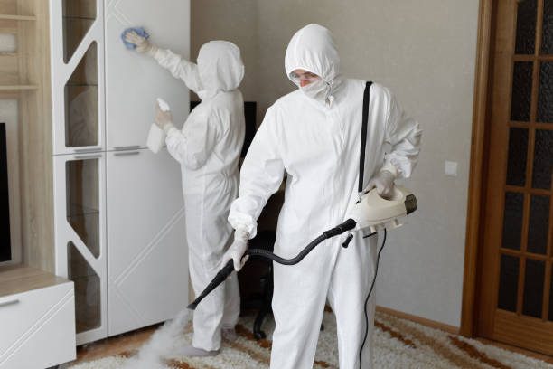 Best Post-Flood Mold Remediation in Ellicott City, MD