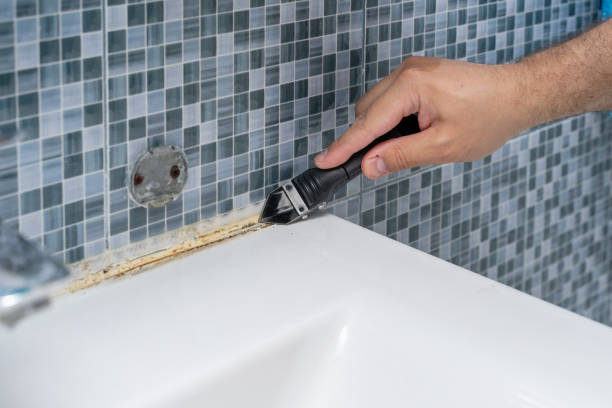 Best Emergency Mold Remediation in Ellicott City, MD